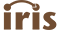 Iris Business Intelligence, SEO Web Experts